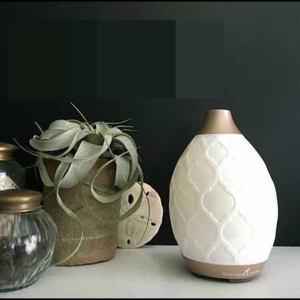 Young Living GOLD Desert Mist Essential Oil Ultrasonic Diffuser NIB Sealed